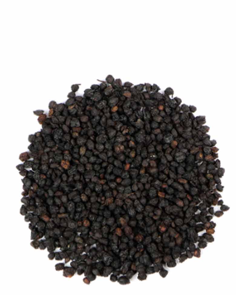 Elderberry Herbal Tea Futuristic Herbs